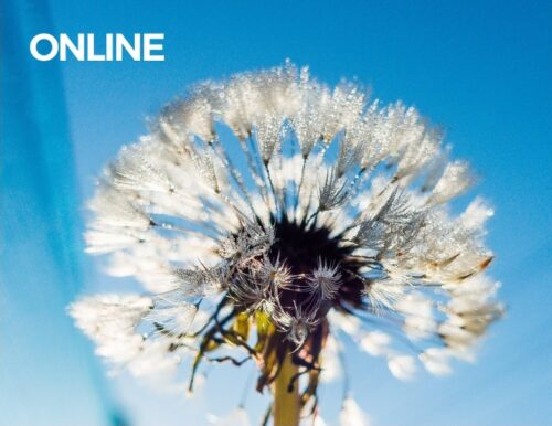 RETIRO del Viernes 29 al Domingo 31 de Agosto de 2025