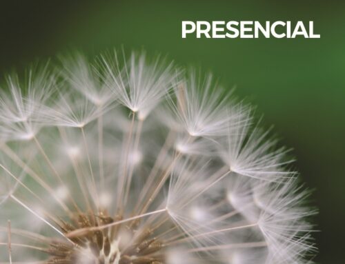 Sábado 13 de septiembre de 15:00 a 18:30 hs.